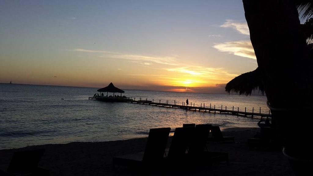 Cadaques Caribe Pez 103 Apartment บายาฮิเบ ห้อง รูปภาพ