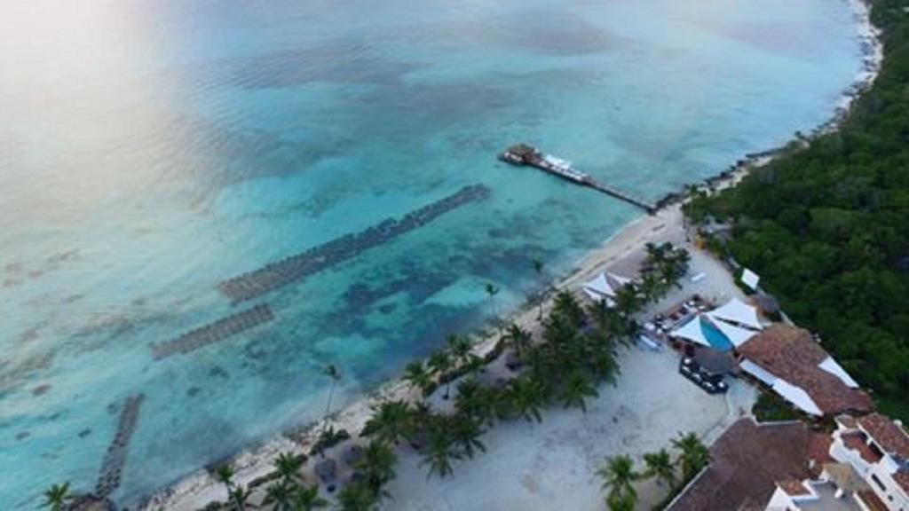 Cadaques Caribe Pez 103 Apartment บายาฮิเบ ภายนอก รูปภาพ